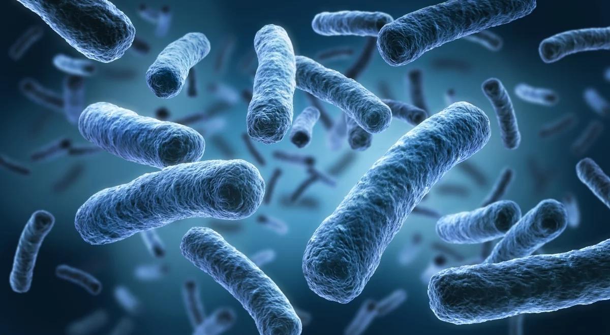 Legionella na Podkarpaciu. "Zakażeń może być znacznie więcej niż zostało to zidentyfikowane"
