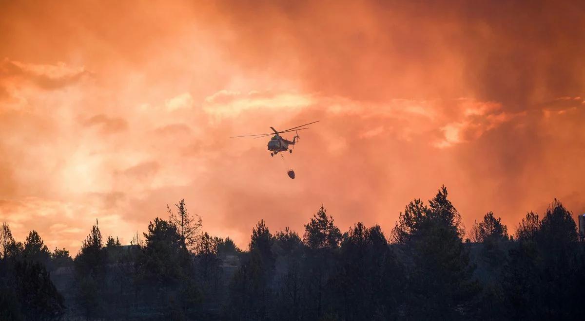 Pożary pustoszą Macedonię Płn. Tylko pod górą Serta spłonęło ponad 100 hektarów lasu