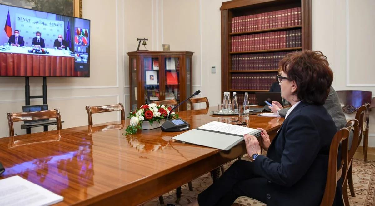 "Rośnie rola Grupy Wyszehradzkiej". Marszałkowie Sejmu i Senatu po telekonferencji państw V4