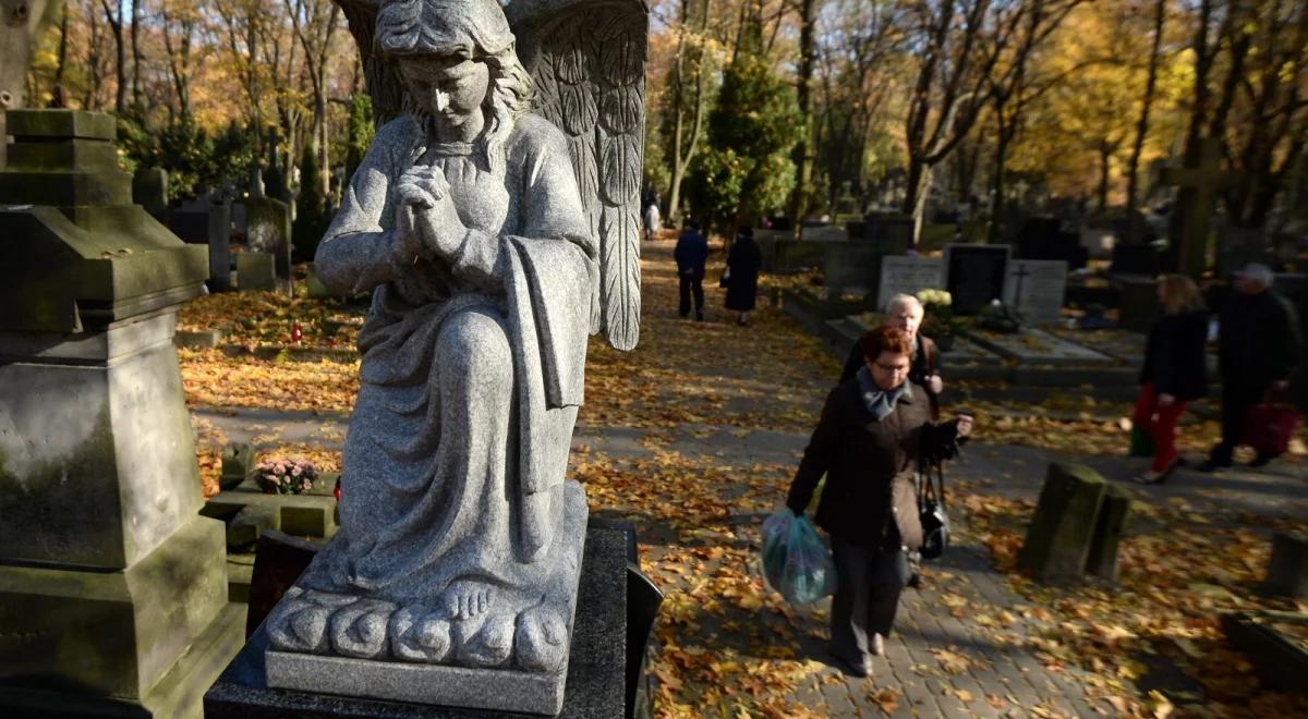 Pogoda na Wszystkich Świętych: ciepło i słonecznie
