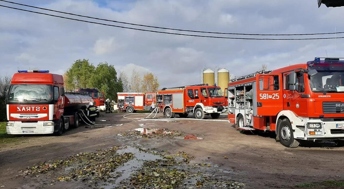 Potężny pożar kurnika w Wielkopolsce. Spłonęło prawie 15 tys. młodych kurczaków