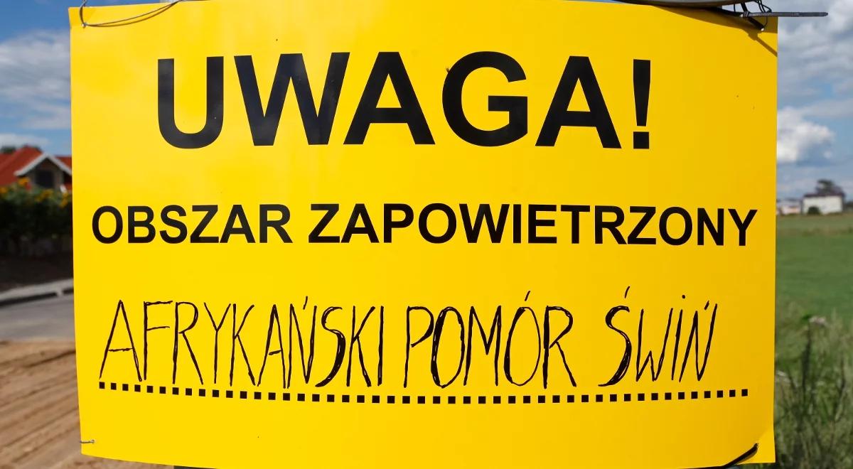 Piąte ognisko ASF zlikwidowane. Wybito stado 550 świń, trwa kontrola w 10-kilometrowej strefie