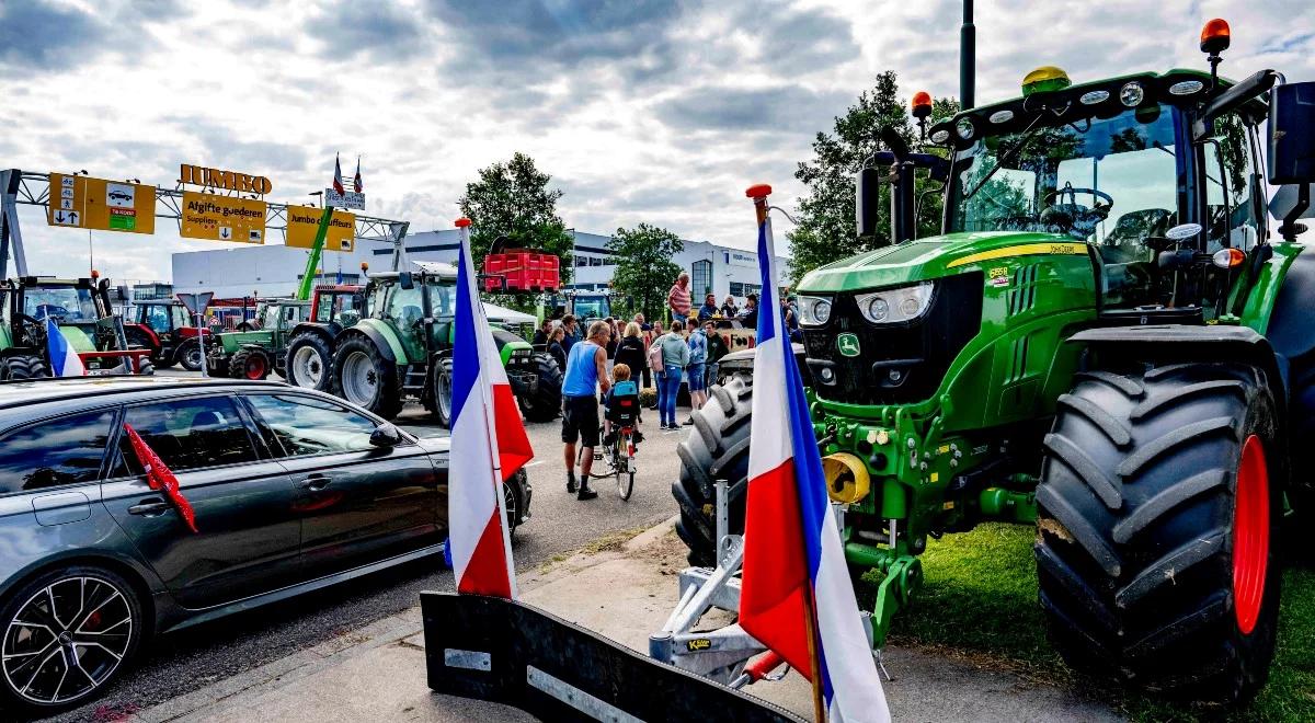 "Rolnicy  się zbuntowali". Pawluszek o olbrzymich manifestacjach w Holandii