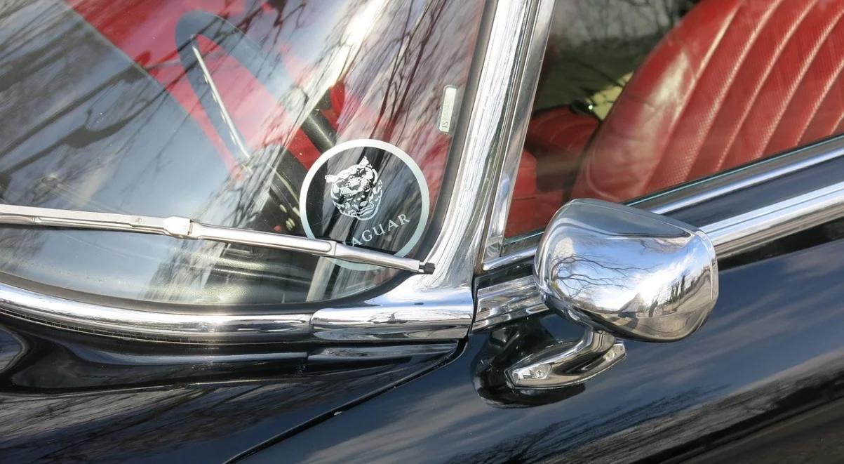 Fabryka Tata Motors, właściciela Jaguara i Land Rovera, powstanie w Polsce?