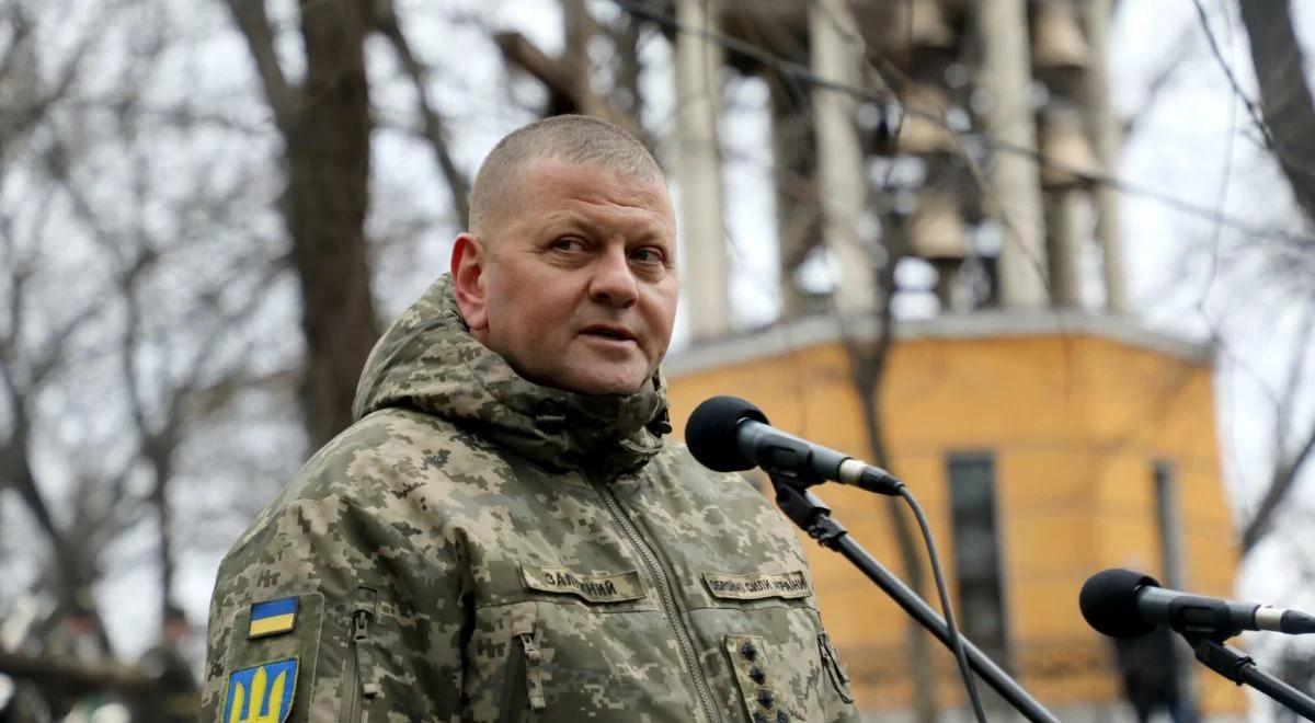 Rzecznik Zełenskiego dementuje medialne doniesienia. "Gen. Załużny nie został zwolniony ze stanowiska"