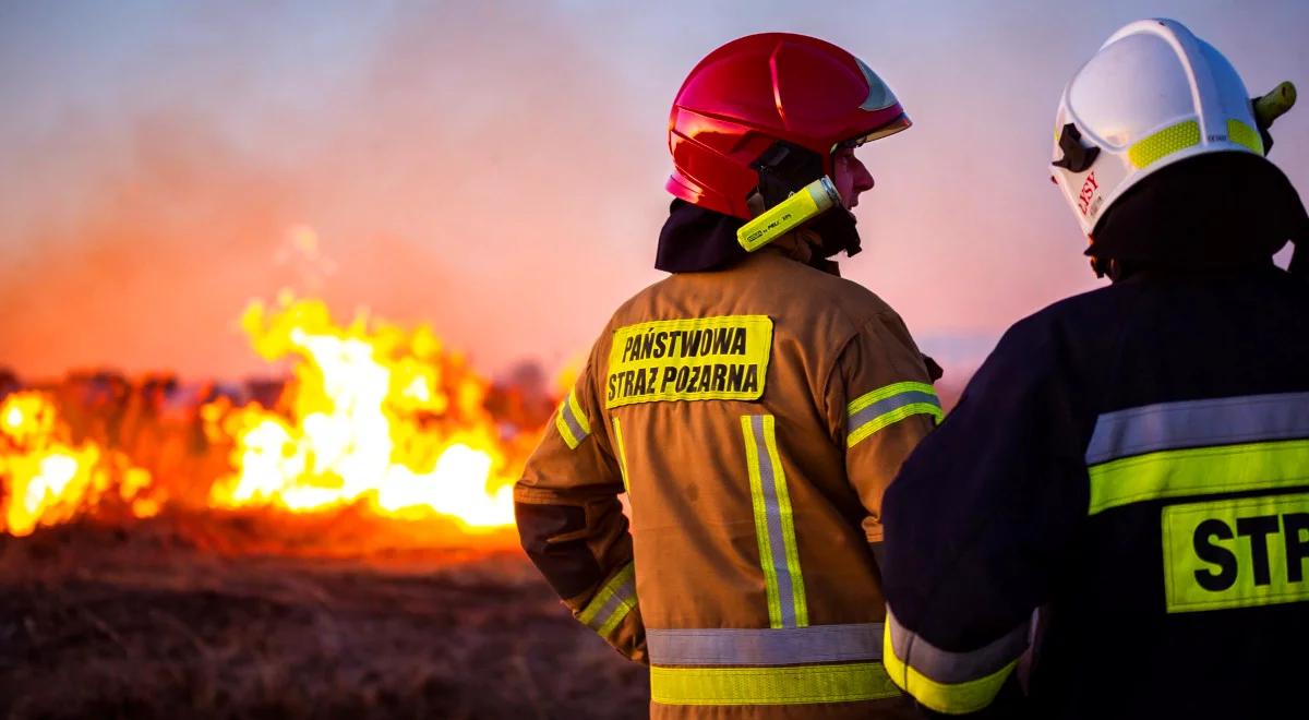 "Barbarzyński i nieopłacalny proceder". Wypalanie traw zatruwa środowisko