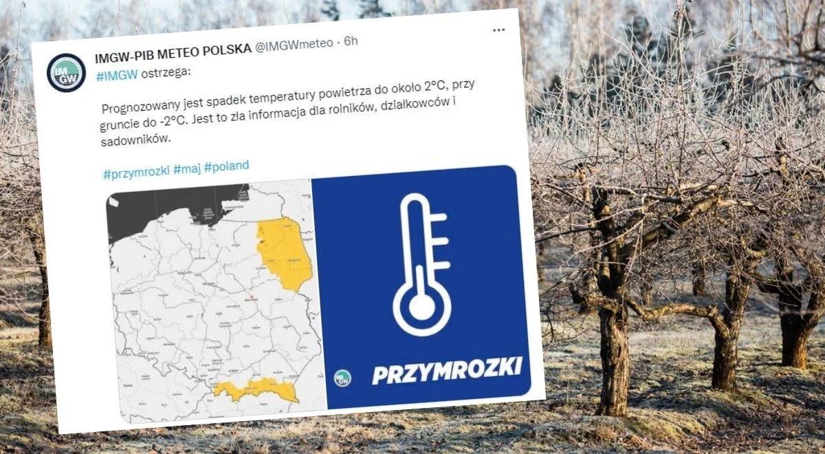 IMGW: uwaga na silne przymrozki. Sprawdź, gdzie wydano ostrzeżenie