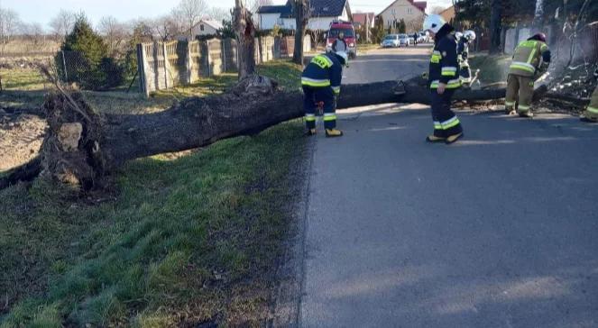 Orkan Otto wieje nad Polską. Tysiące domów bez prądu, służby apelują o ostrożność