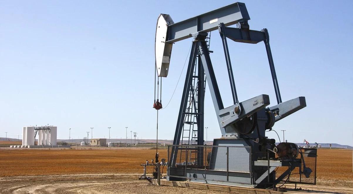 OPEC przykręca kurek. Droższa ropa nie zaszkodzi gospodarce