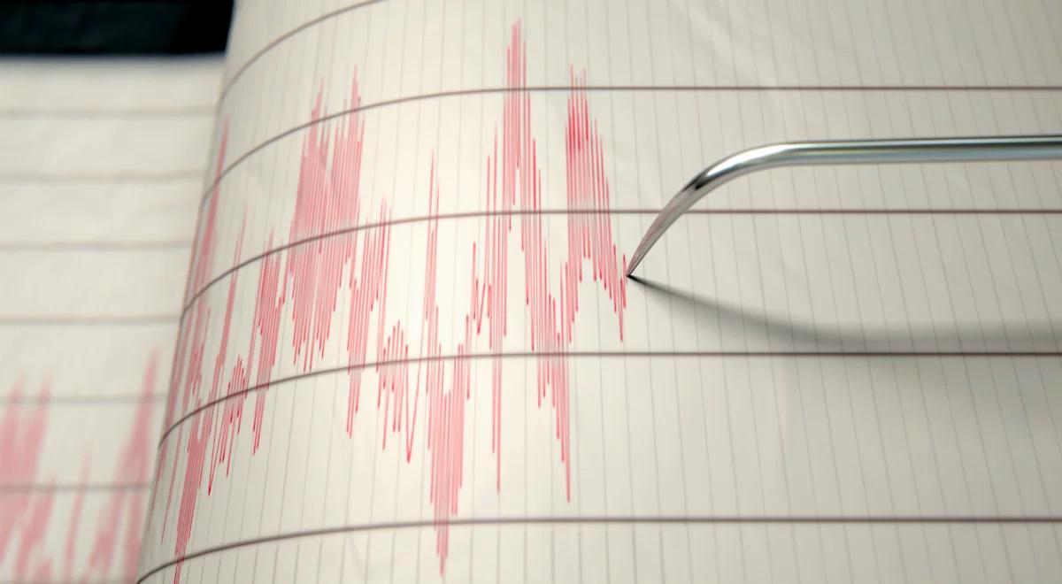 Trzęsienie ziemi w Papui Nowej Gwinei. Ostrzeżenia przed tsunami