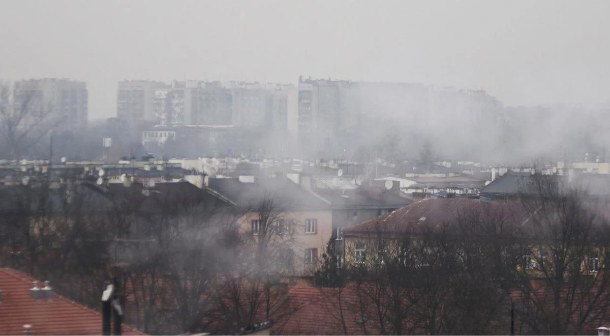 Smog sprzyja cukrzycy. Naukowcy odkryli nowy mechanizm