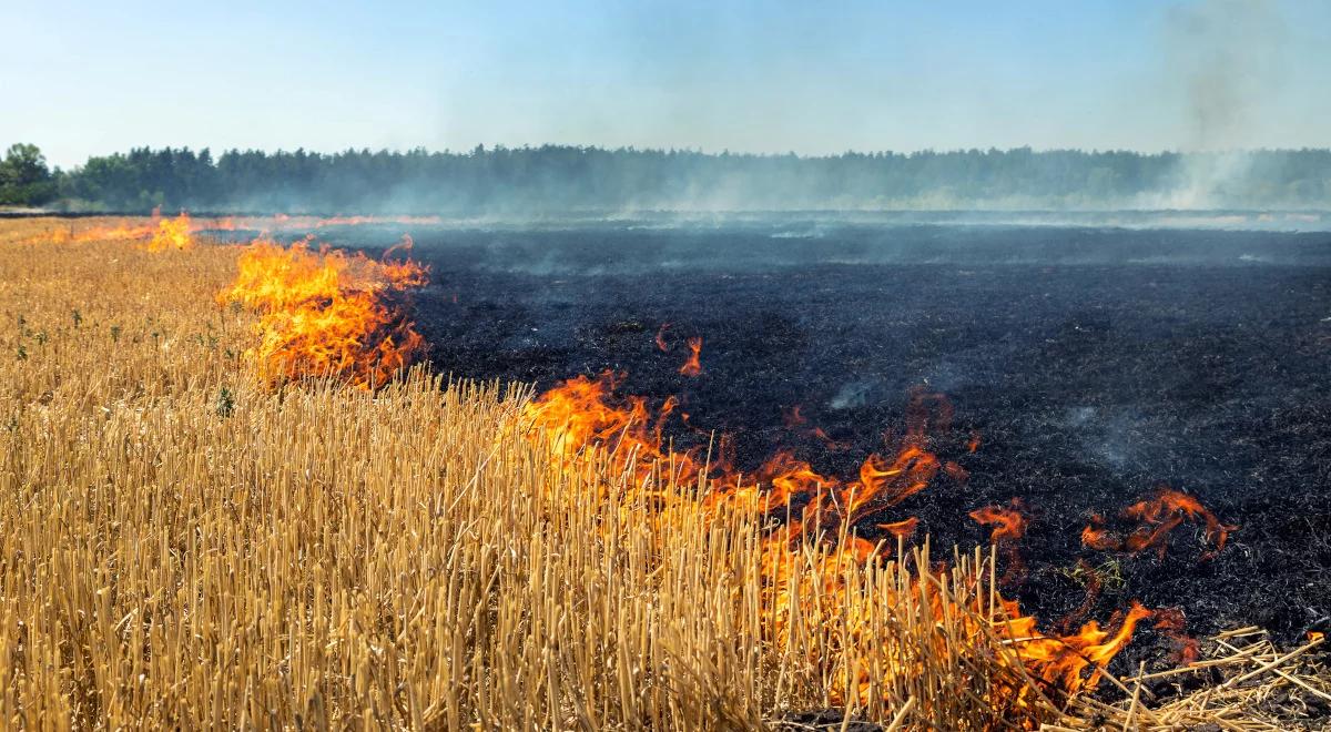 Rekordowe pożary w krajach UE. Problem potęguje susza 