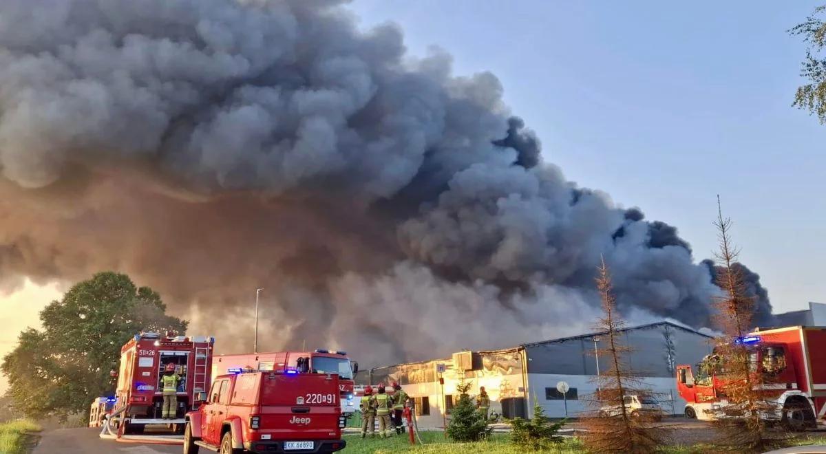 Pożar na pogorzelisku. Kolejna akcja strażaków w Malcu