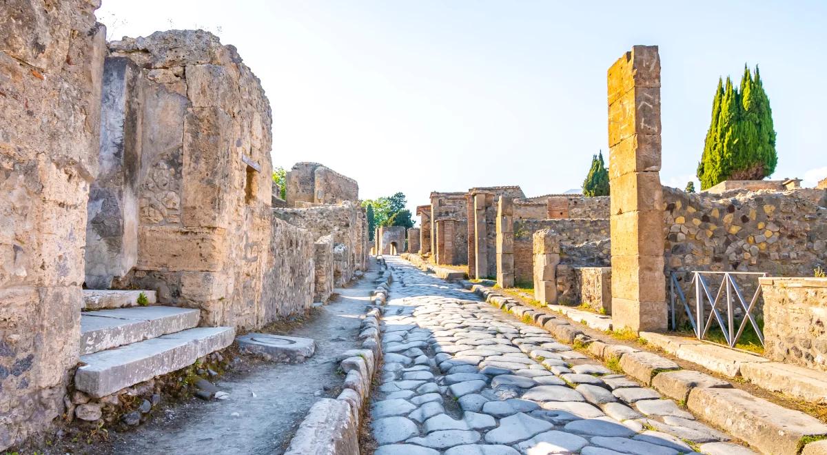 Na murze w Pompejach odkryto wizerunek węża. "To prawdopodobnie Agatodajmon"