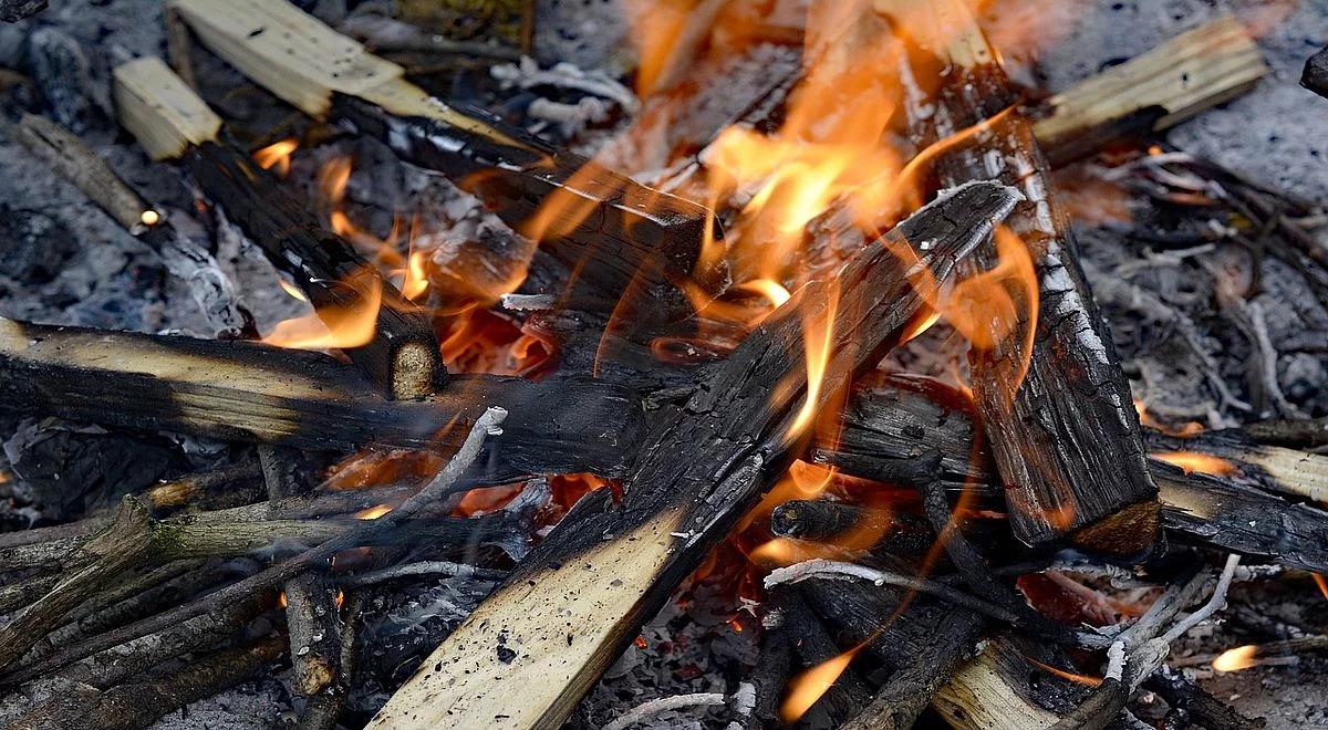 Polski Alarm Smogowy: martwe przepisy utrudniają walkę ze smogiem