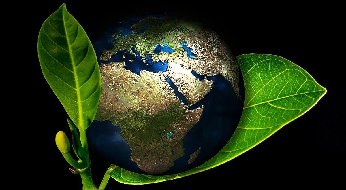 Alarm dla planety. Ziemia traci biologiczną różnorodność przez rabunkową gospodarkę