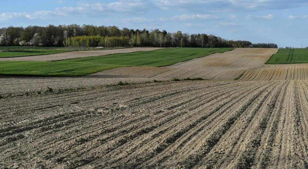 250 mln złotych wsparcia dla gmin z byłymi PGR. Ruszył nabór wniosków
