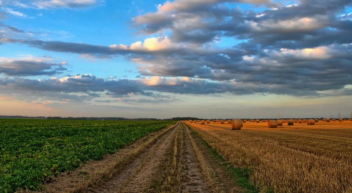 Jurgiel zapowiada wstrzymanie sprzedaży gruntów państwowych. Będzie za to dzierżawa