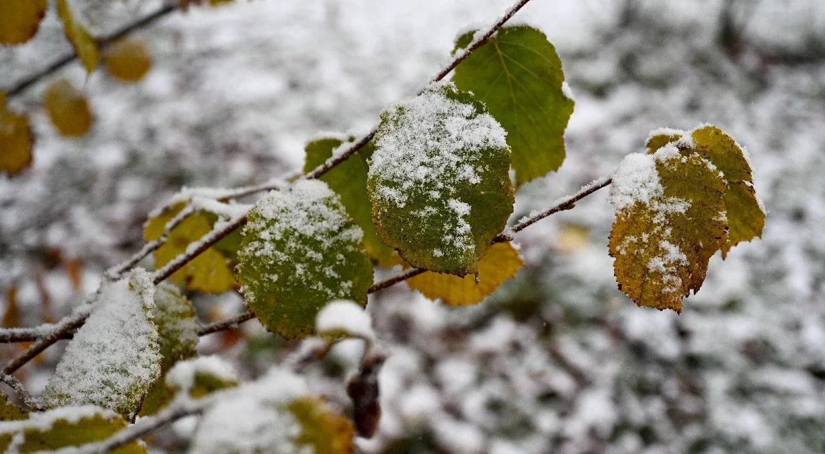 Pogoda w piątek. IMGW zapowiada opady śniegu, zwłaszcza na południu kraju
