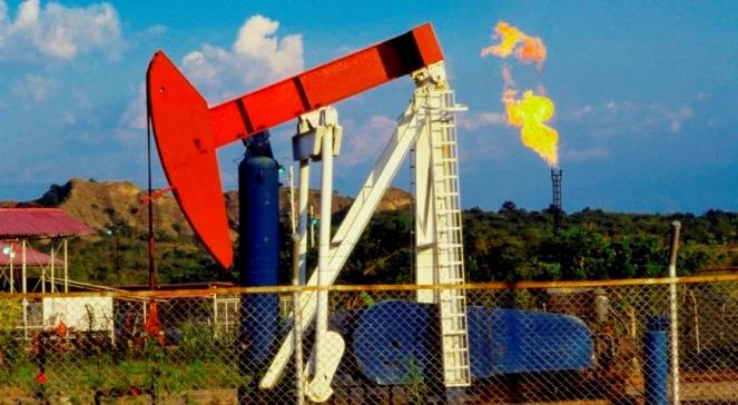 Ropa tanieje, bo OPEC nie wie, co zrobić z Irakiem i Iranem