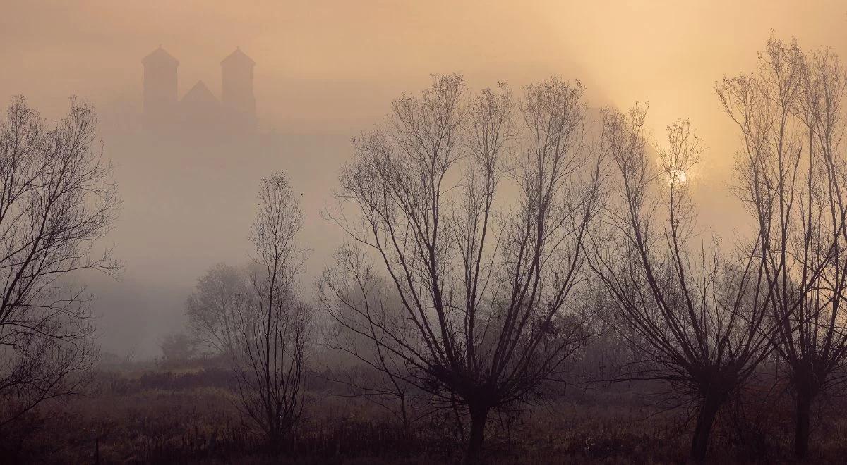  IMGW ostrzega przed gęstymi mgłami. W tych regionach warunki będą najtrudniejsze