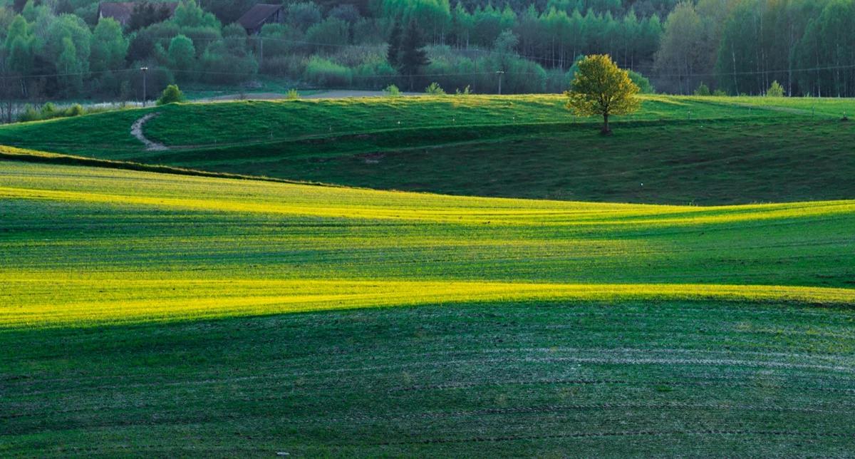 Na Warmię i Mazury trafią dodatkowe fundusze UE. Każde województwo może liczyć na dodatkowe środki