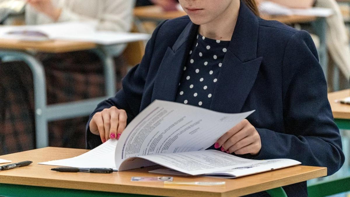Wypracowanie maturalne z języka polskiego. Słownictwo, które może ci się przydać