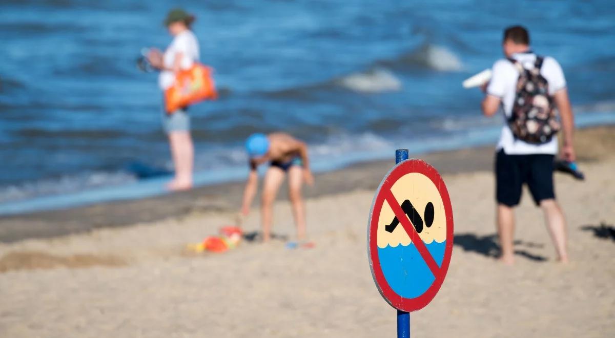 Sinice w Bałtyku. Lista gdańskich kąpielisk z czerwoną flagą