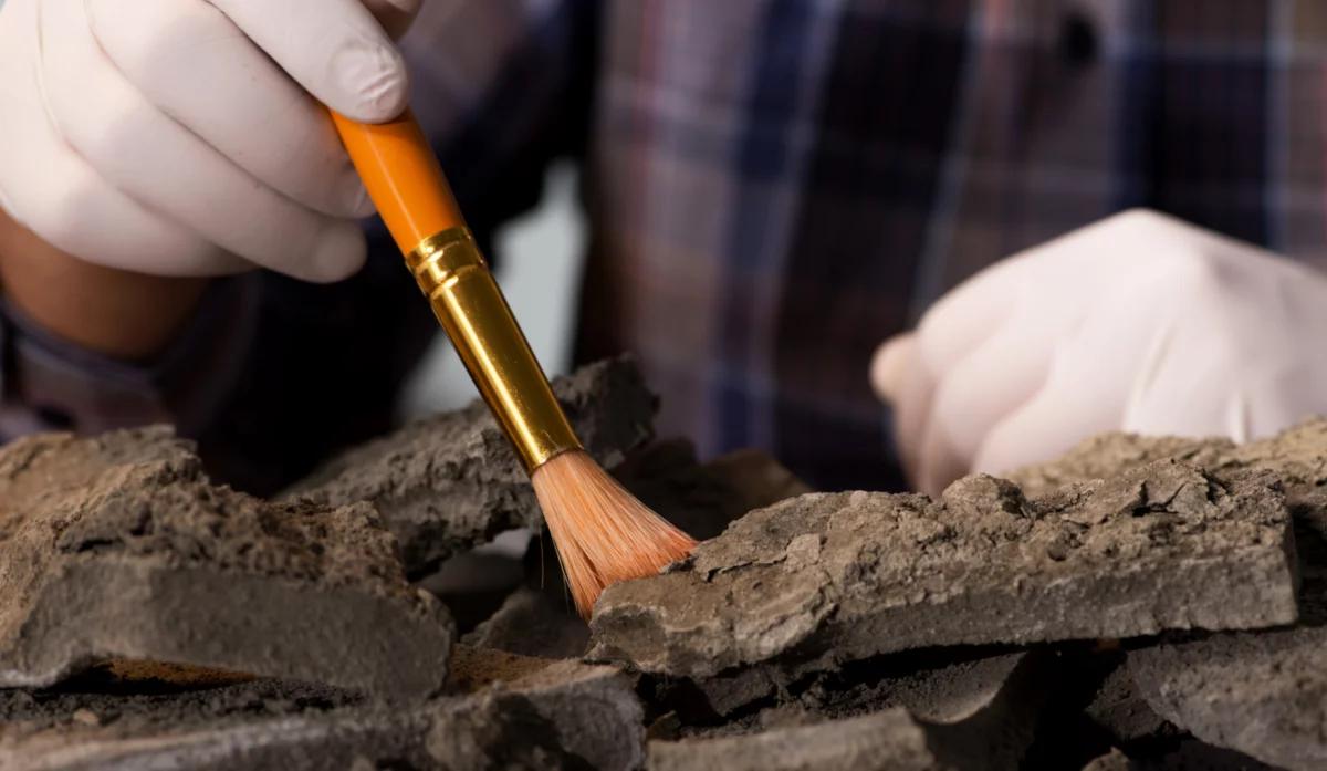 Sensacja archeologiczna na Podkarpaciu. Odkryto kilkadziesiąt sztuk średniowiecznej broni