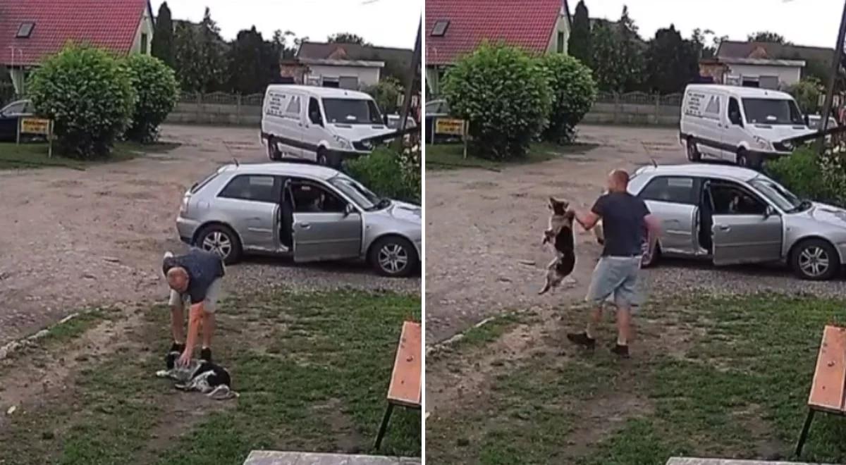 Ognica. Mężczyzna rzucił psem o ziemię. Wszystko się nagrało