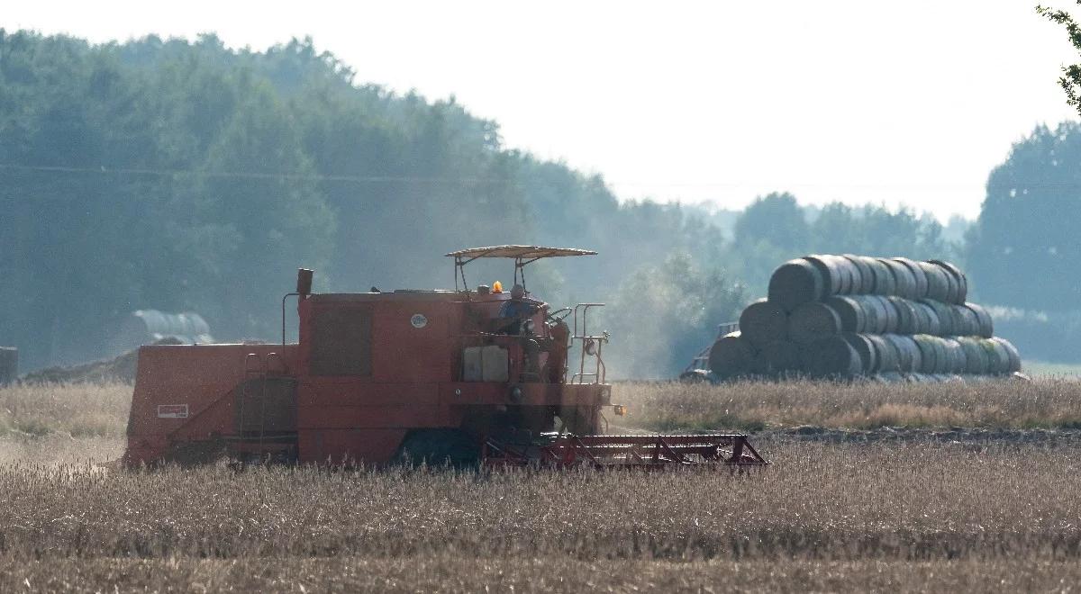 Minister rolnictwa: dbanie o bezpieczeństwo żywnościowe to obecnie cel numer jeden