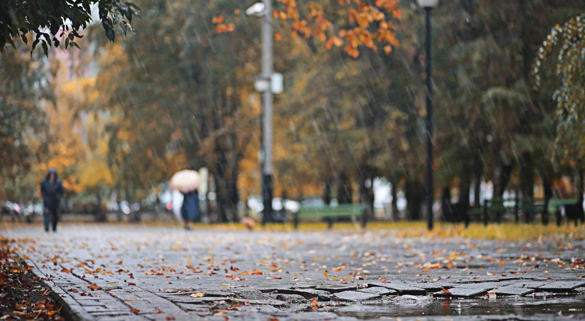 Pogoda: sobota pod znakiem chmur i przelotnego deszczu. Możliwe burze