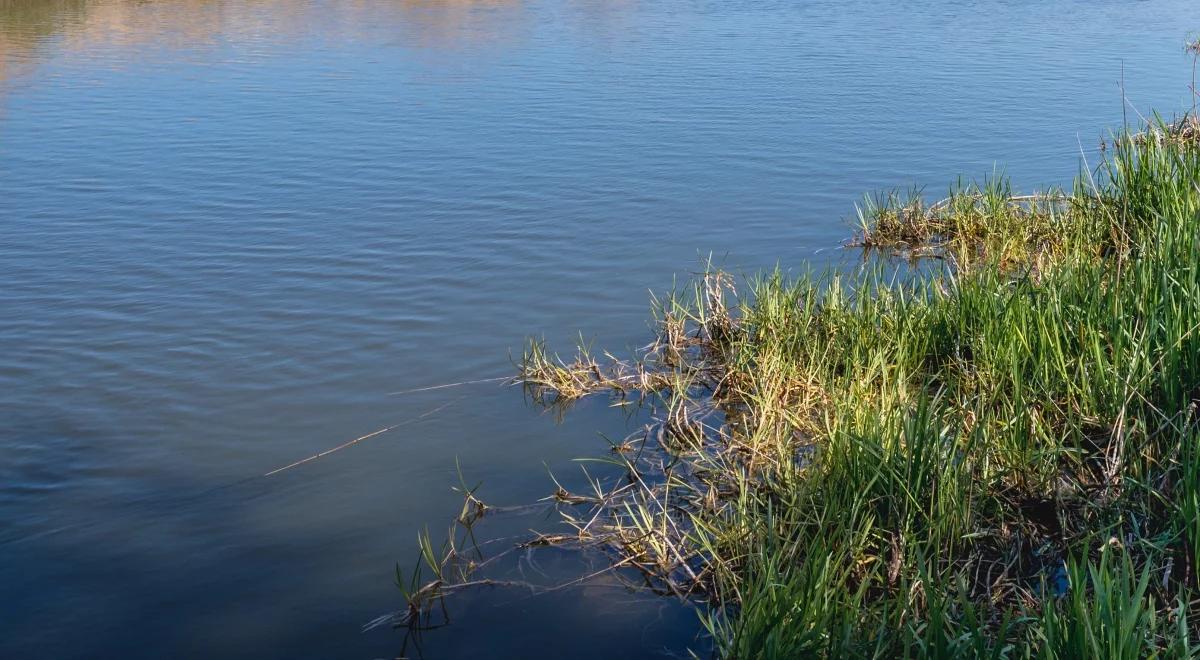 Stan hydrologiczny w Polsce. Ekspert: zasoby wodne porównywalne do sytuacji w Egipcie