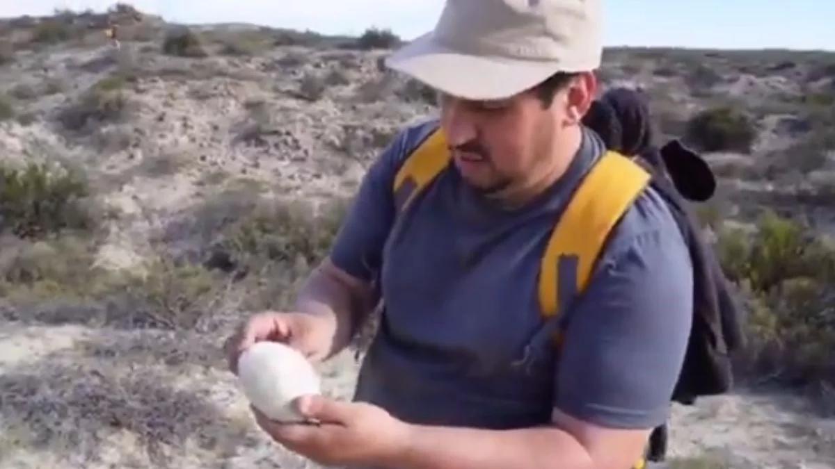 Odnaleziono jajo dinozaura sprzed 70 mln lat. Niezwykłe odkrycie w Argentynie