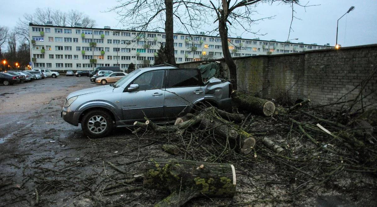 IMGW ostrzega przed silnym wiatrem. Wydano alerty dla wszystkich województw