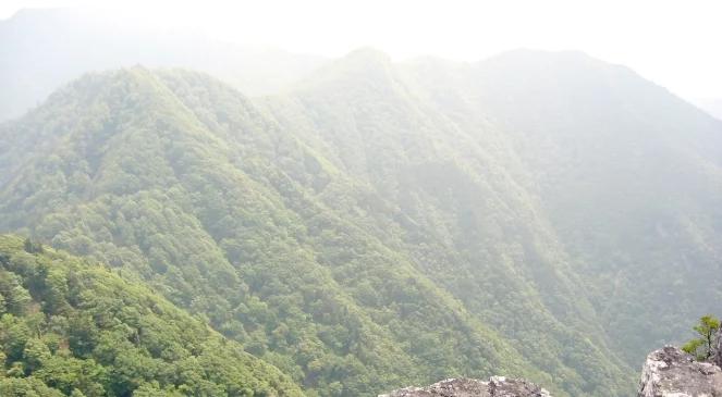 Kobiety wciąż nie mają wstępu na świętą górę w Japonii