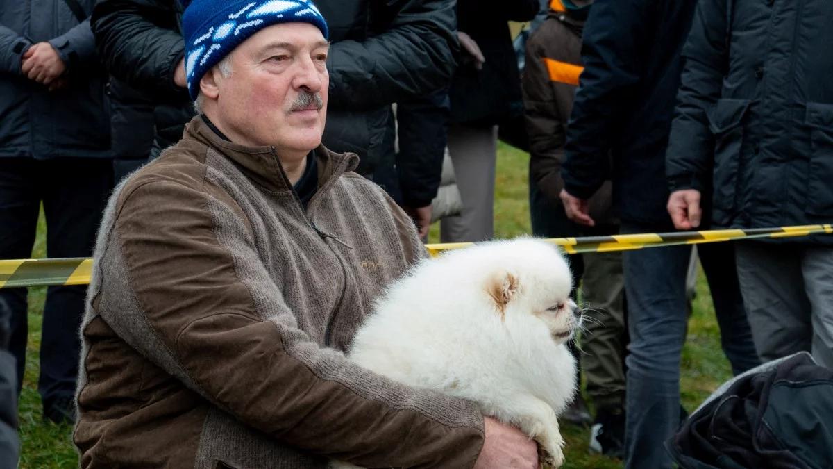 Groźny dyktator z puszystą kulką. Łukaszenka obiektem drwin z powodu psa