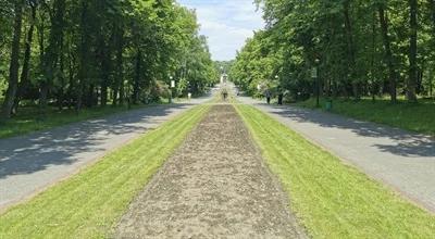 Park Śląski to unikatowa oaza ...