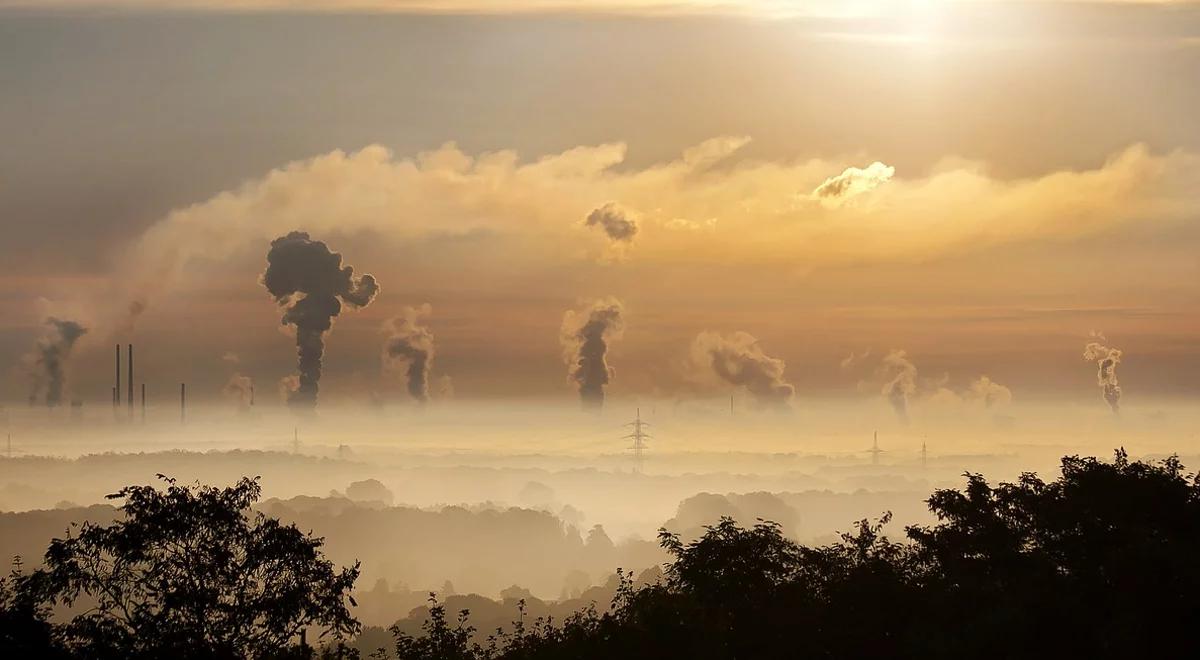 Smog w Polsce. Trwa debata w Sejmie