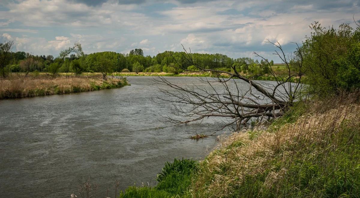 IMGW wydał alerty hydrologiczne drugiego stopnia. Stany ostrzegawcze mogą zostać przekroczone