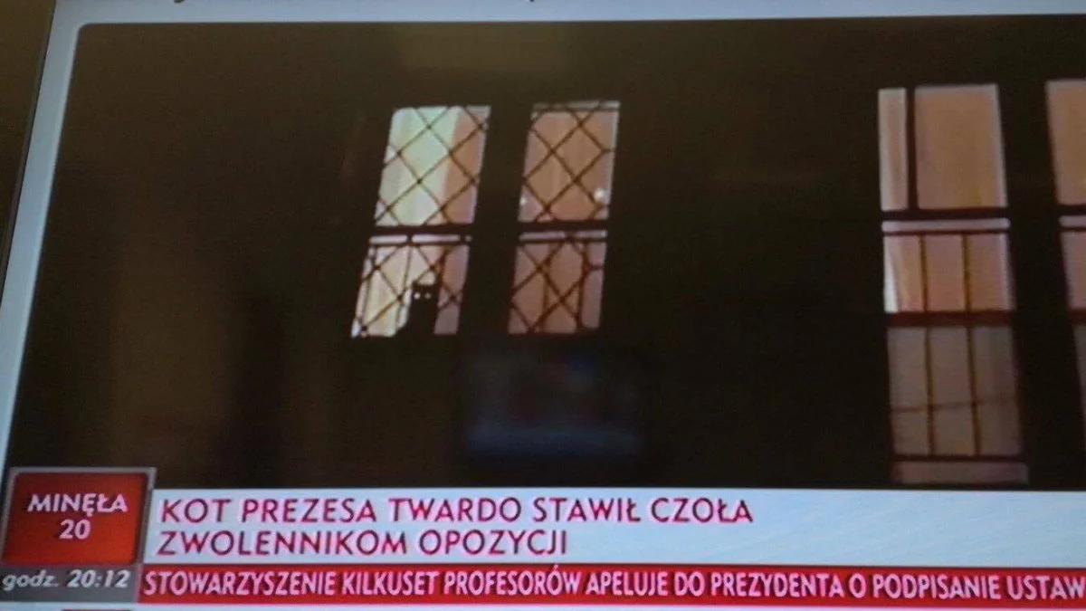 Nowy "bohater" sporu o sądy. Kot Jarosława Kaczyńskiego