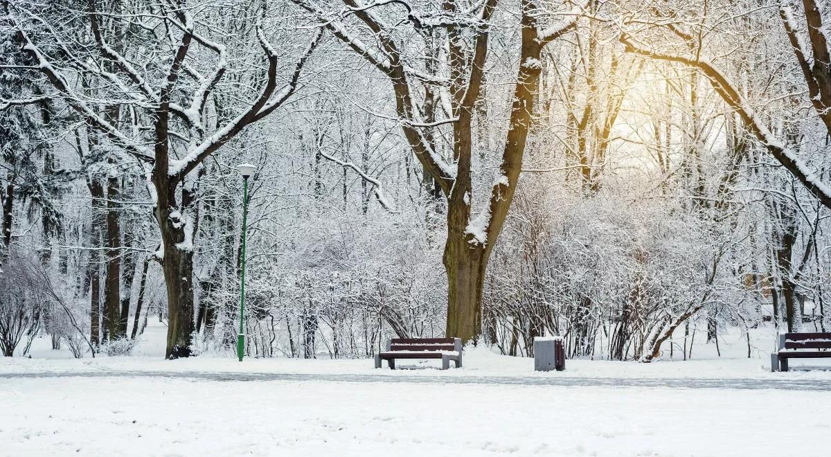 Opady śniegu, miejscami intensywne, na południu możliwe zamiecie 