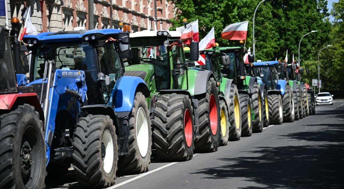 "Polska absolutnym liderem". Nikt w UE tak nie wspiera rolników