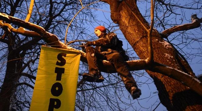 Wycinka w Ogrodzie Krasińskich: chcą komisji ekspertów