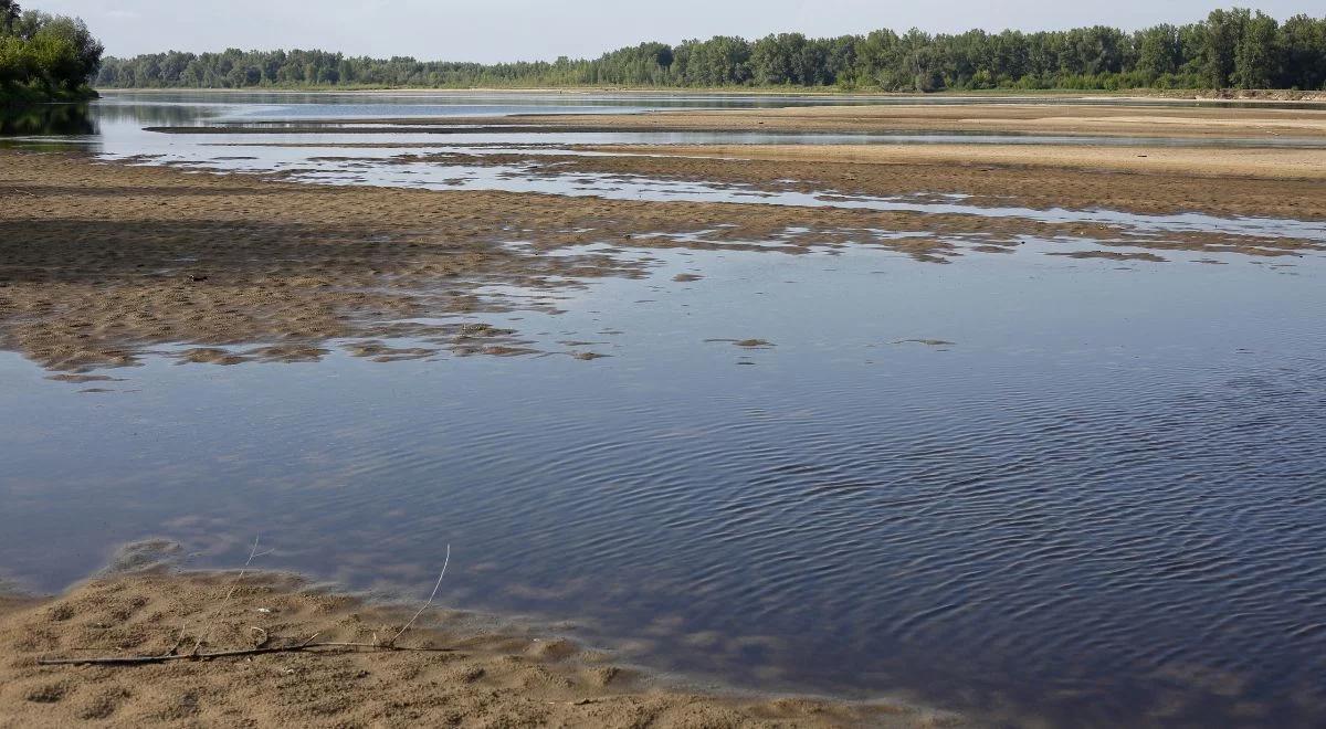 Susza hydrologiczna. Wiele regionów zagrożonych [MAPA]