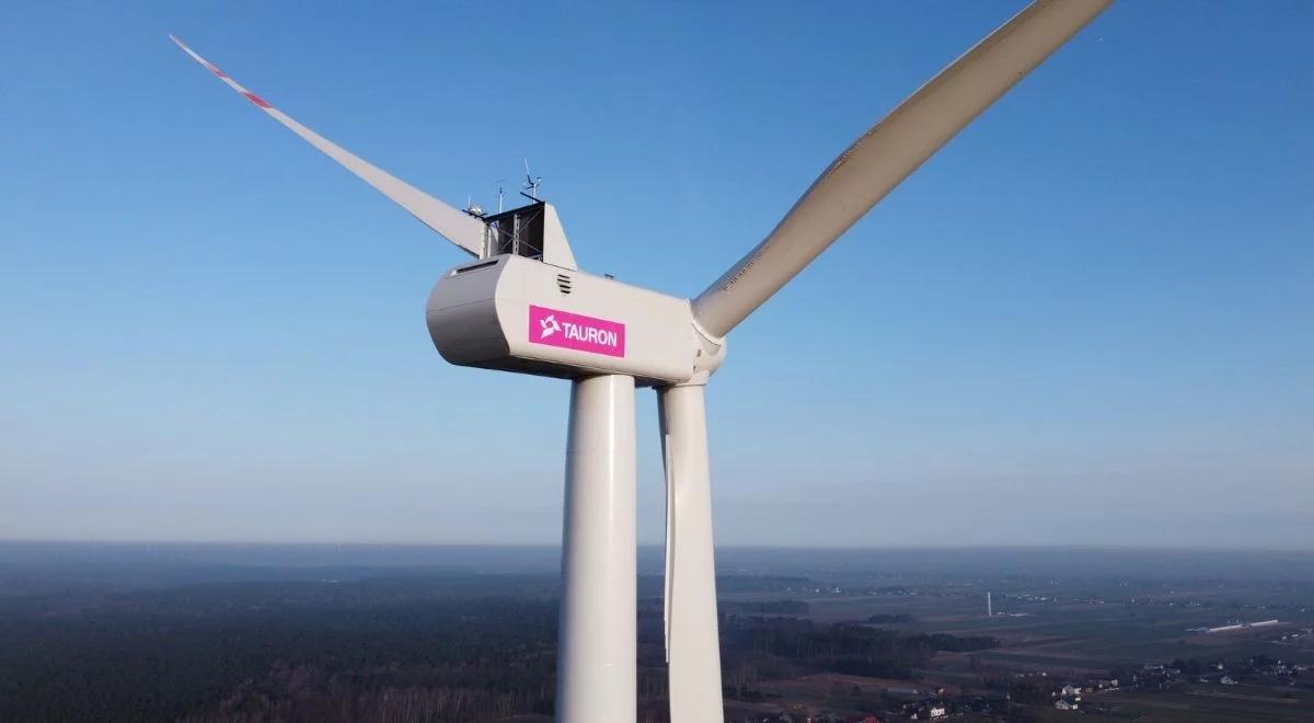 Tauron kupuje spółkę z prawami do projektu wiatrowego o mocy 60 MW