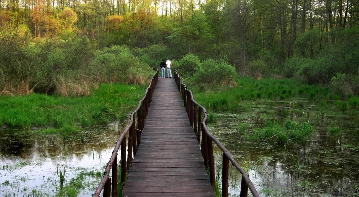 Las Bemowski stał się placem budowy dewelopera. Planowany jest protest