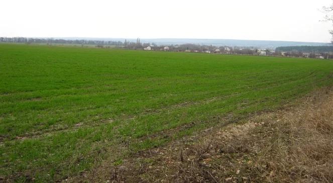 Młodzi rolnicy muszą się spieszyć z wnioskami do ARiMR
