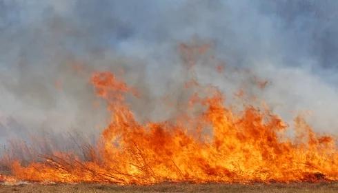 Rosji: rośnie liczba śmiertelnych ofiar pożarów