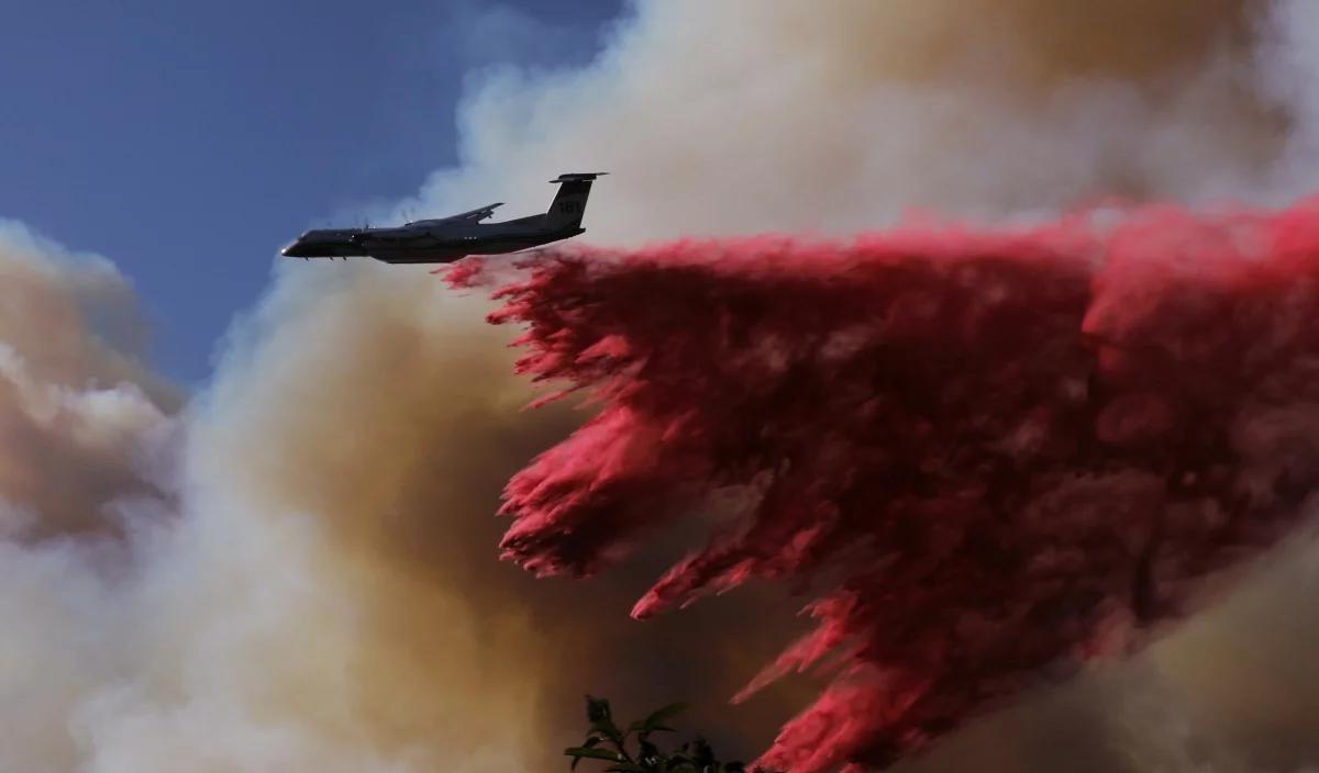 Pożary w Los Angeles. Silny wiatr utrudnia akcję gaśniczą . "Przerażająca prognoza"